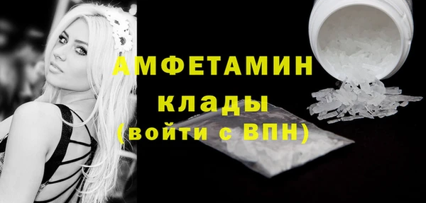 стафф Богданович