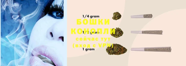 стафф Богданович