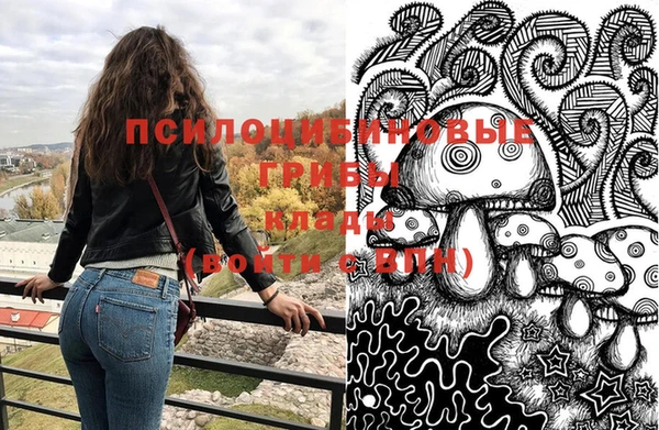 ПСИЛОЦИБИНОВЫЕ ГРИБЫ Богородицк