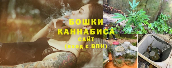 стафф Богданович