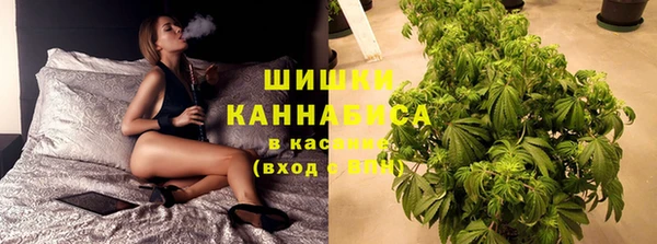 ПСИЛОЦИБИНОВЫЕ ГРИБЫ Богородицк