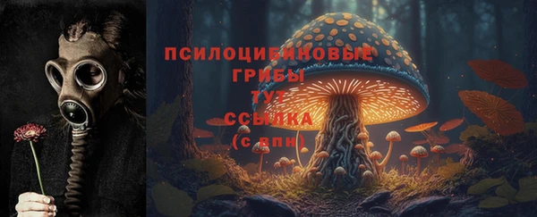 дживик Белокуриха